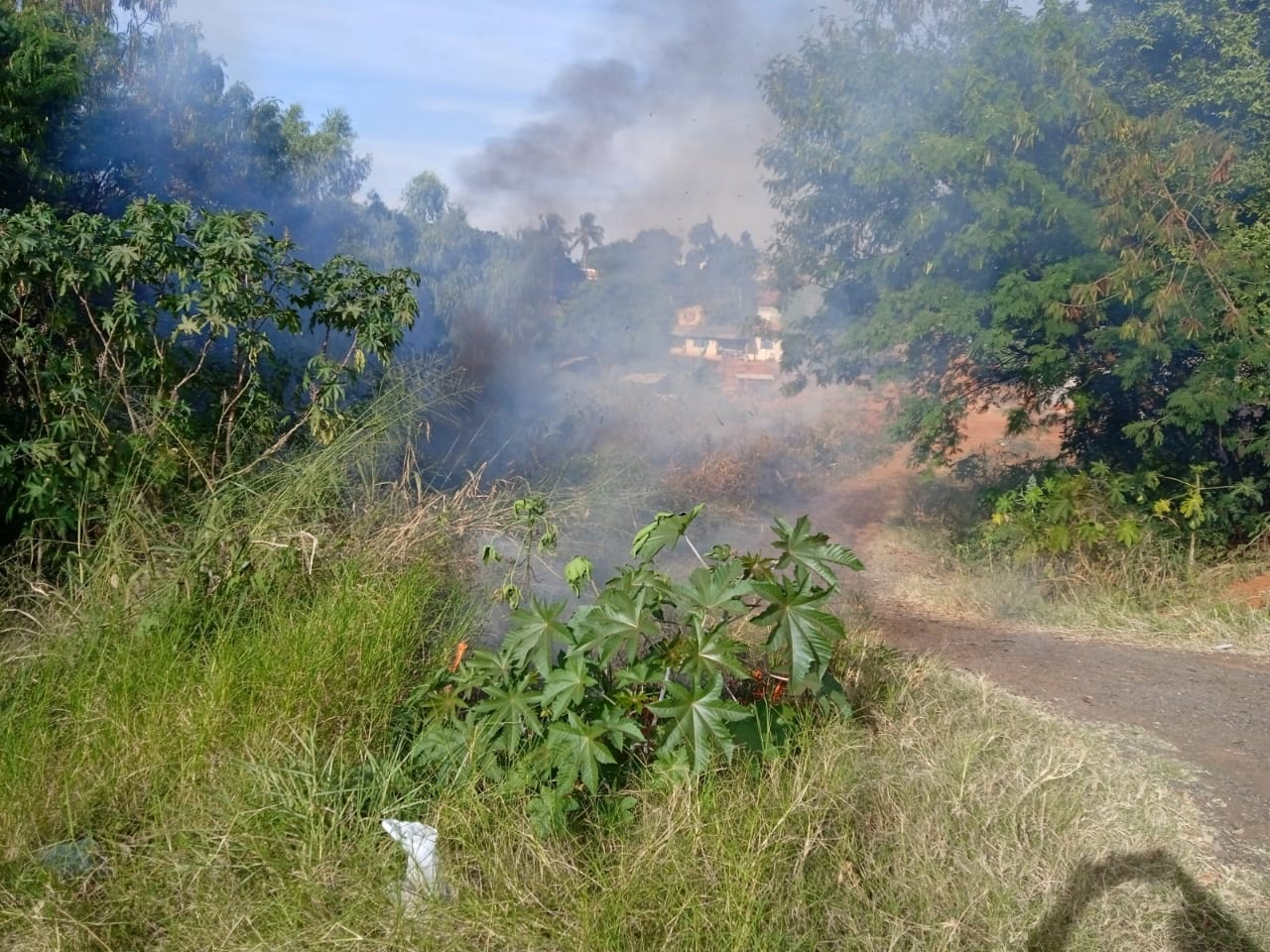 Imagem da Noticia: a5e3d5fbcfe26333e2299e2fecf2ab5f.png